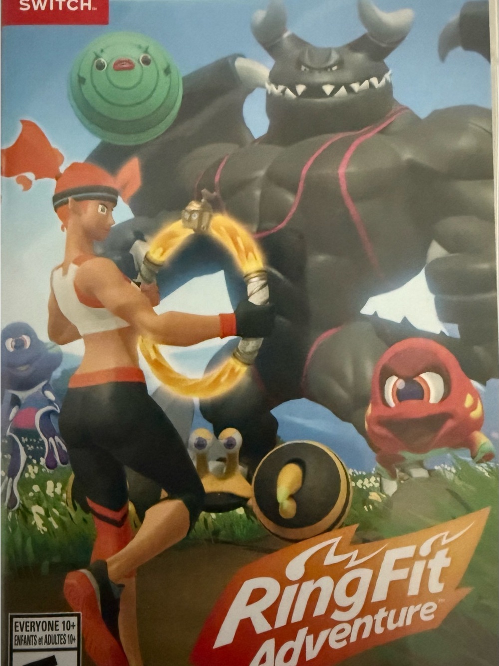 Nintendo Ring Fit Adventure — Blue, Black, Red, Green Artwork